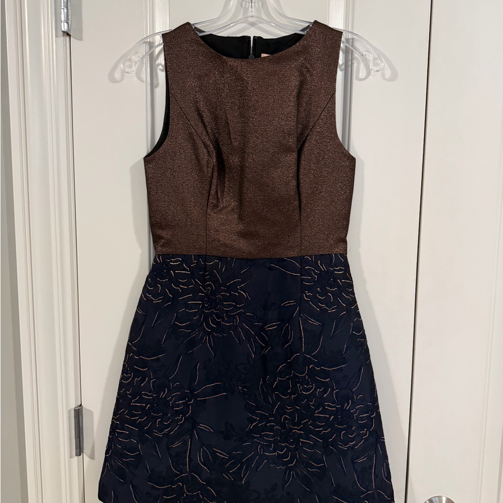 Hutch Brown And Navy Mini Dress